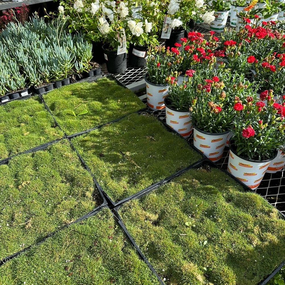 !FOUR NEW CLOTHING ITEMS UP!